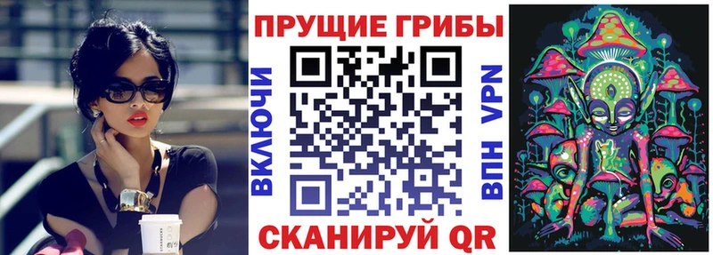 Галлюциногенные грибы GOLDEN TEACHER  где купить наркотик  Кулебаки 