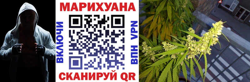 хочу   Кулебаки  Марихуана конопля 